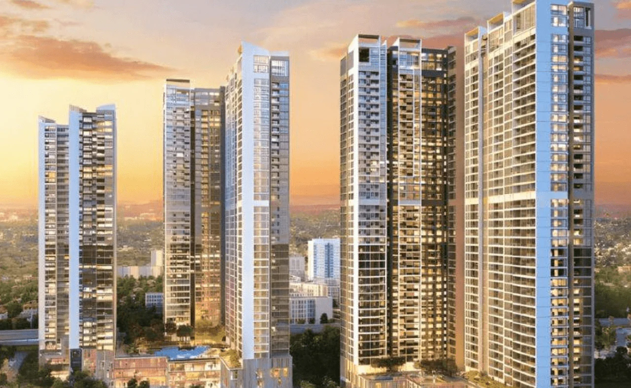 DELUXE DXP Commercial