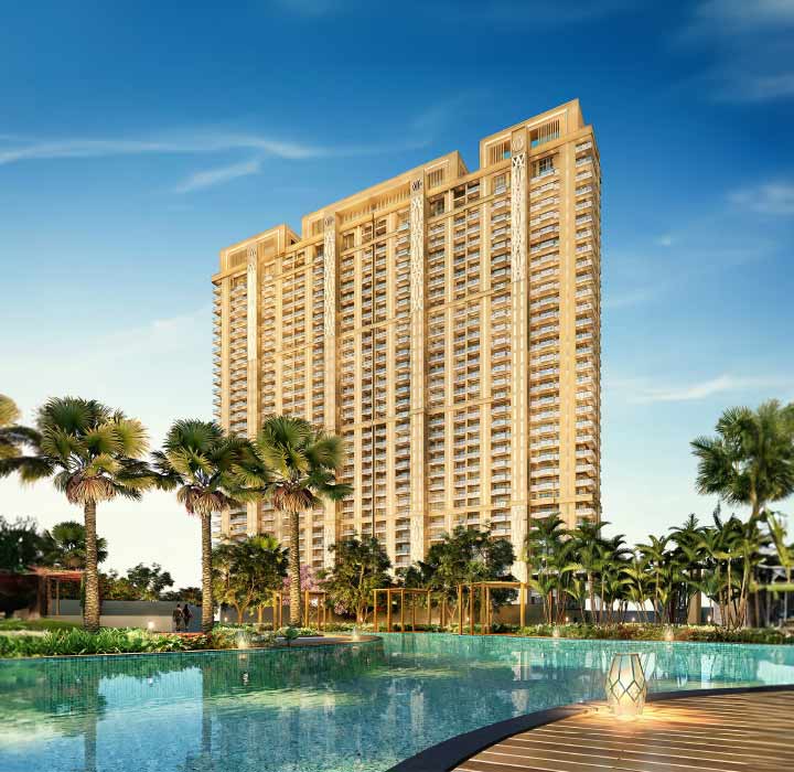 DELUXE DXP Commercial