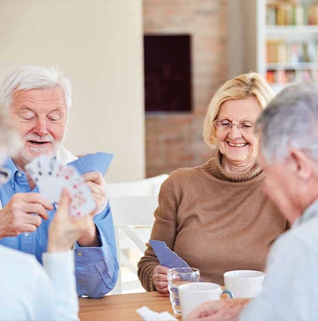 Entertainment Image 2