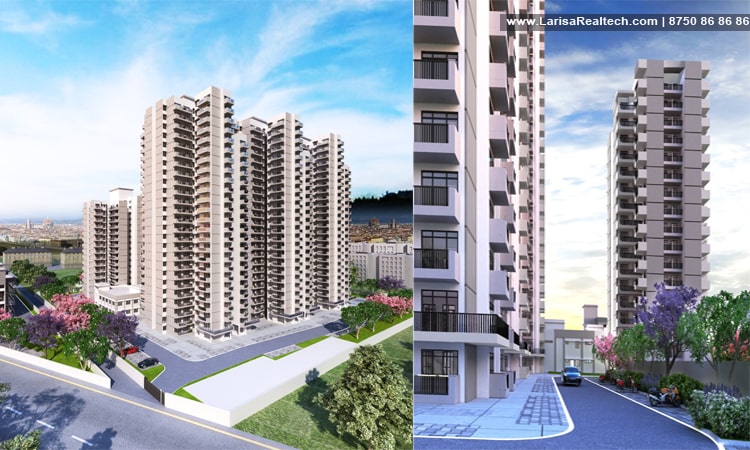 Wal Verde 92 - Image 2