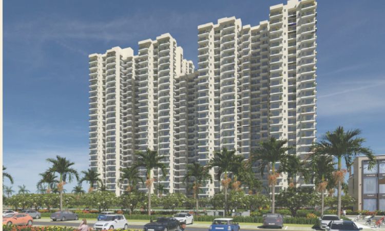 Wal Verde 92 - Image 2